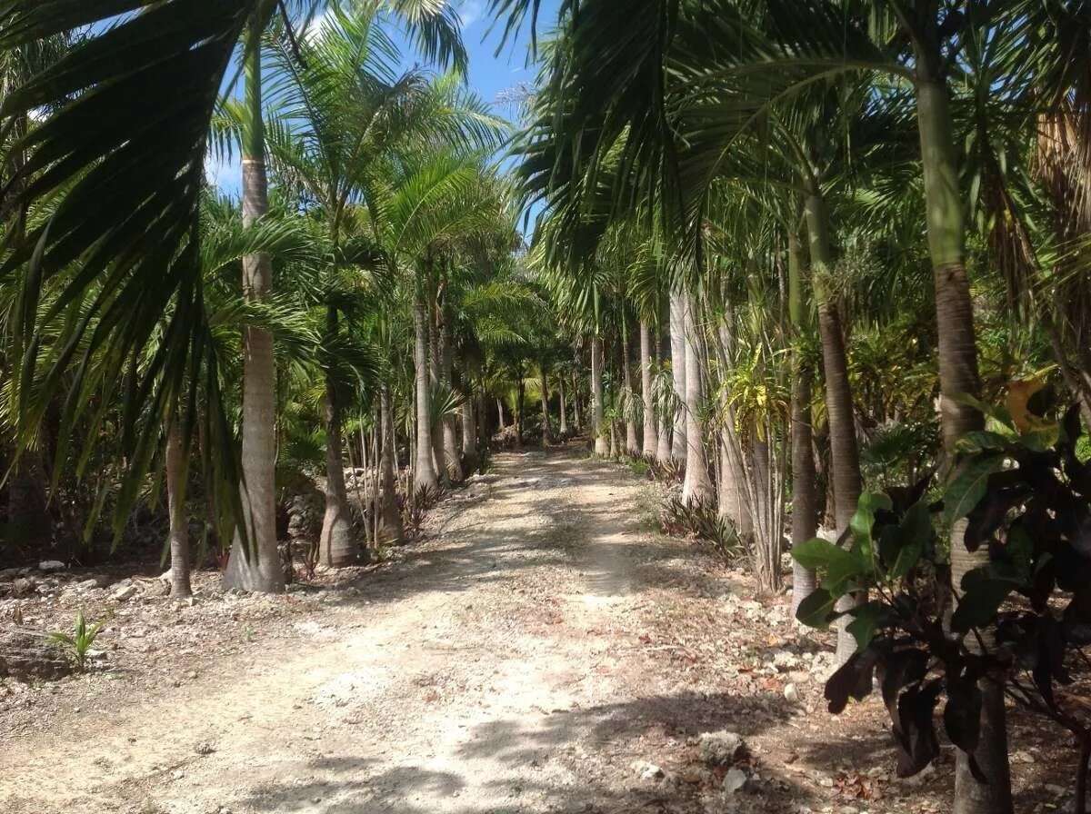 Ranchos y haciendas en venta y renta en la Riviera Maya, México